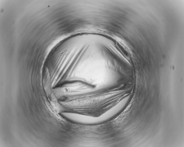 X0000087001238200705141758