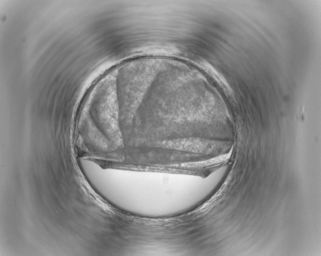 X0000087001240200705141758