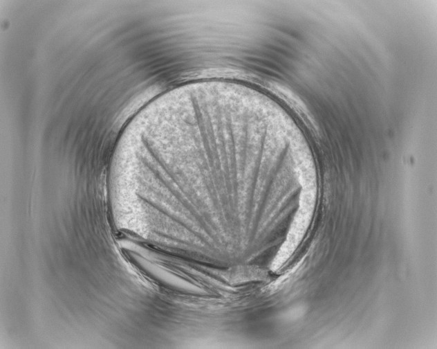 X0000087001241200705141758