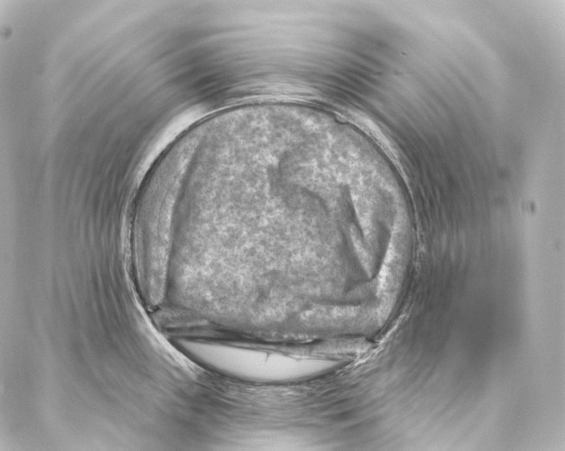X0000087001243200705141758