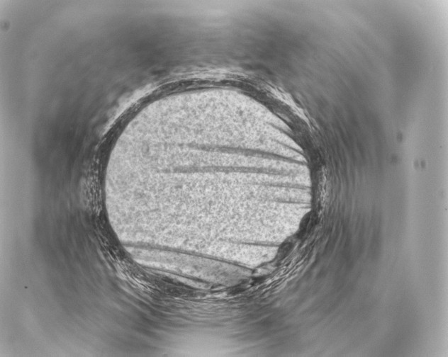 X0000087001256200705141757