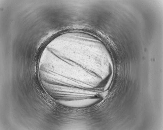 X0000087001262200705141757