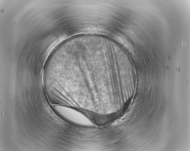 X0000087001275200705141757