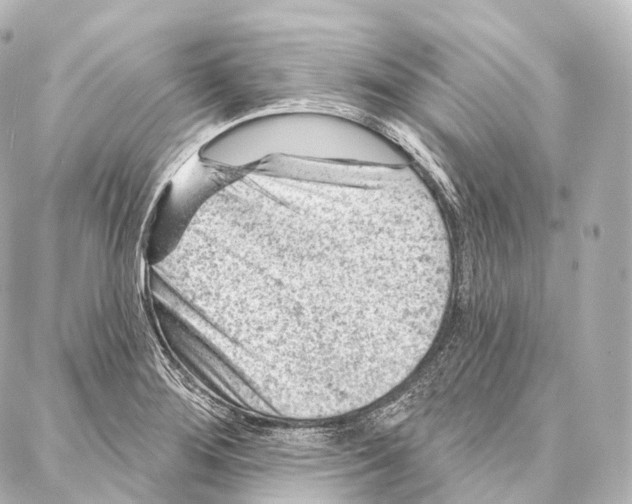 X0000087001276200705141757