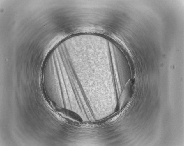 X0000087001277200705141757