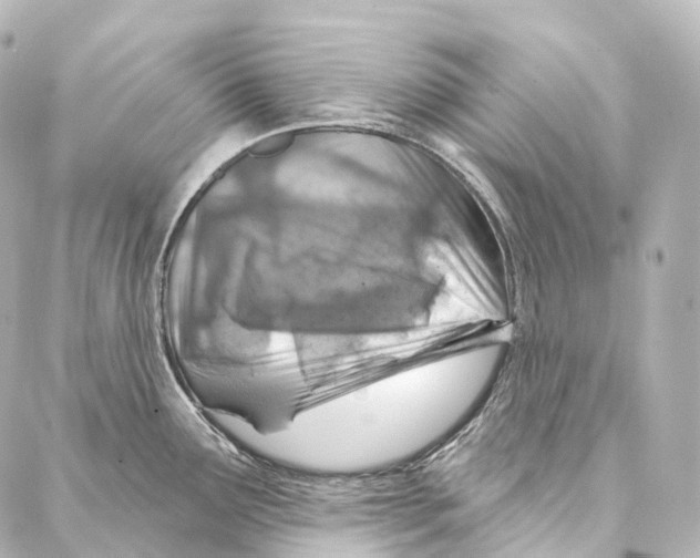 X0000087001291200705141756