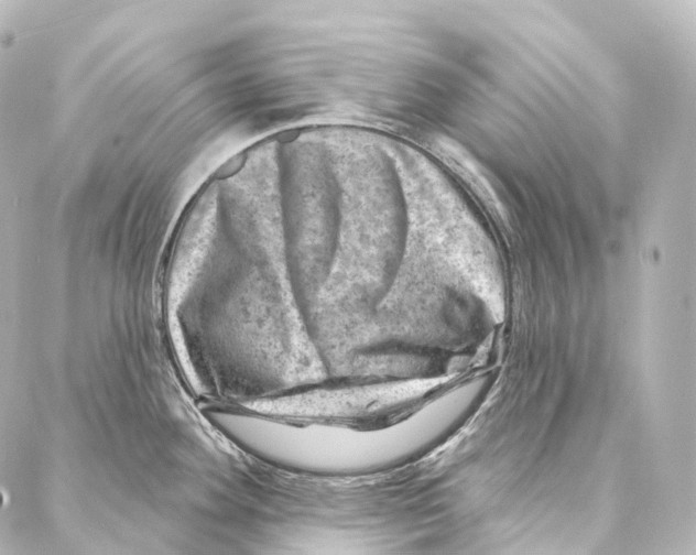 X0000087001292200705141756