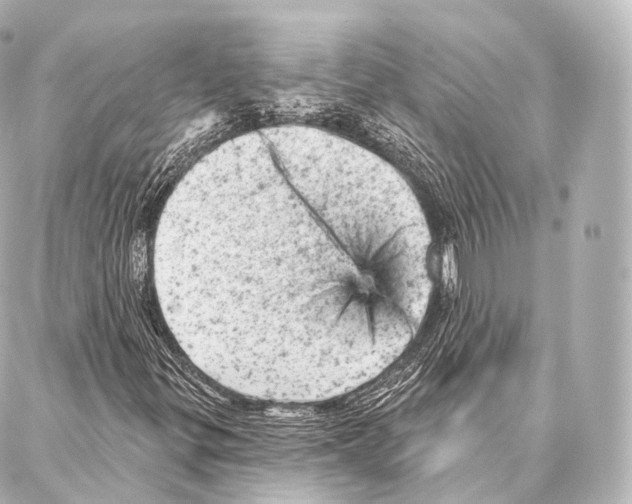 X0000087001299200705141756