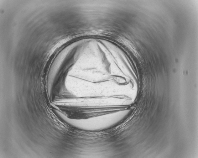 X0000087001308200705141756