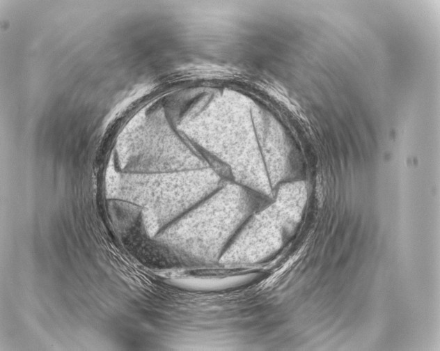 X0000087001309200705141756