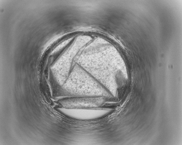 X0000087001311200705141756