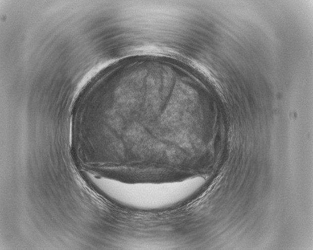 X0000087001323200705141756