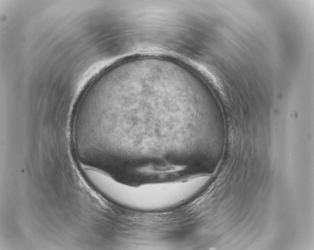 X0000087001327200705141756
