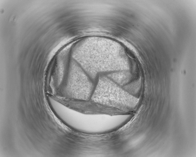 X0000087001333200705141756