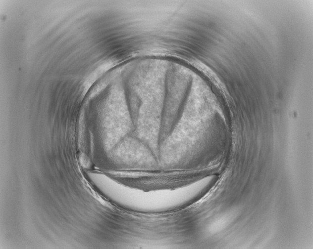 X0000087001337200705141756
