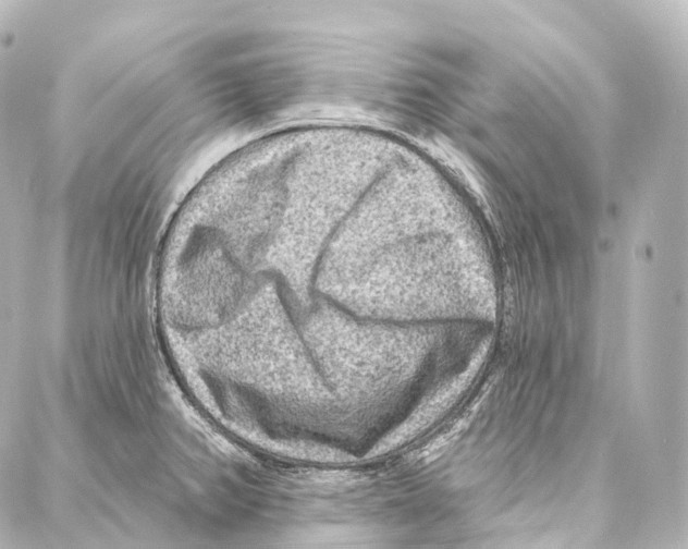 X0000087001382200705141755