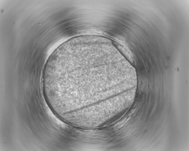 X0000087001387200705141755