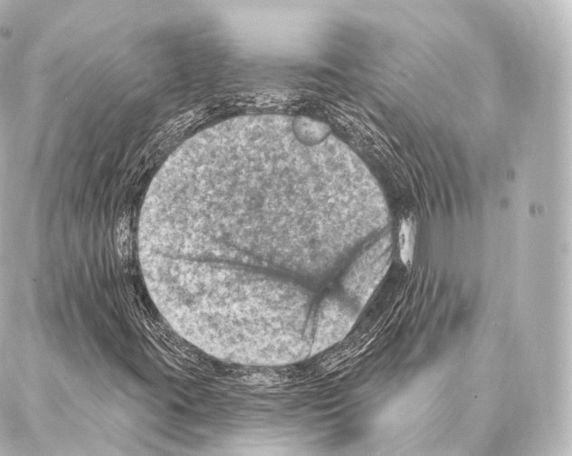 X0000087001395200705141754