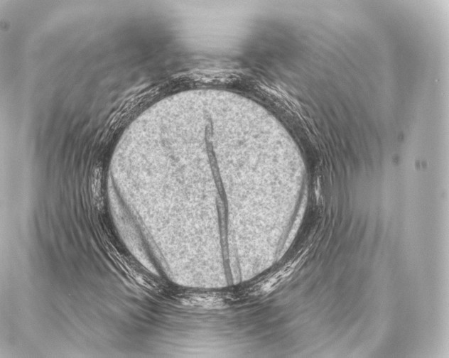 X0000087001396200705141754