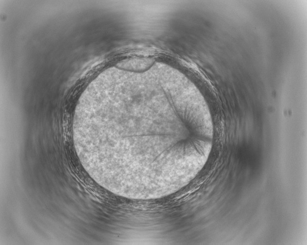 X0000087001399200705141754