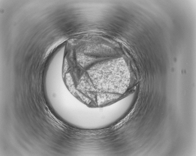 X0000087001402200705141754