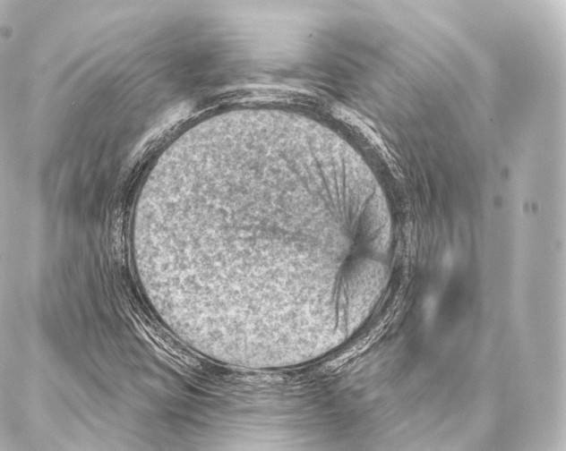 X0000087001403200705141754