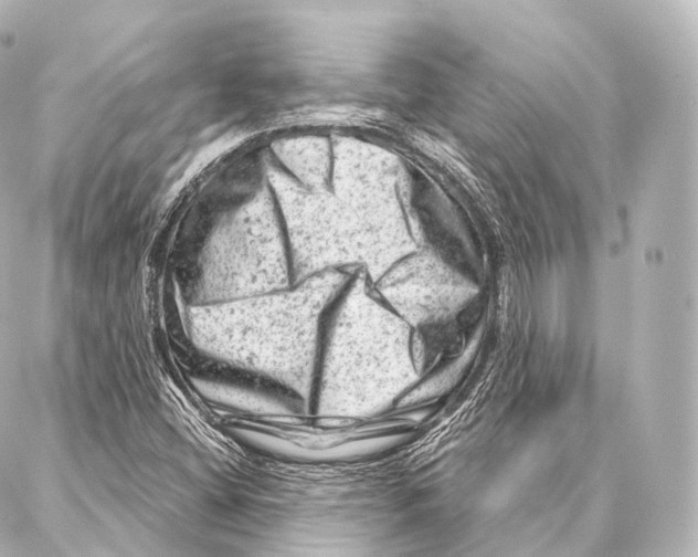 X0000087001404200705141754