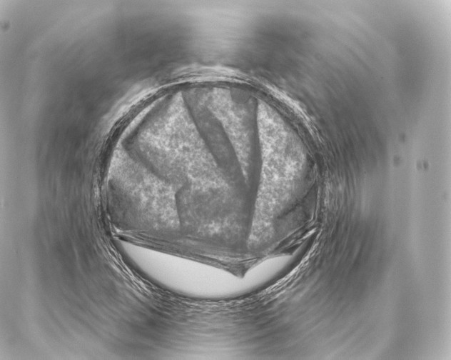 X0000087001407200705141754