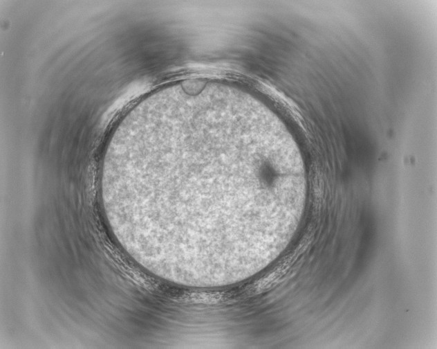 X0000087001411200705141754