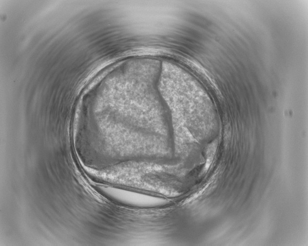 X0000087001417200705141754