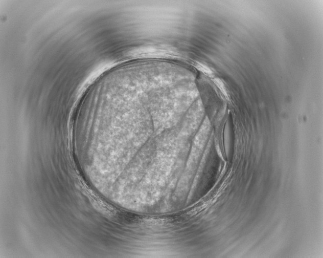 X0000087001419200705141754