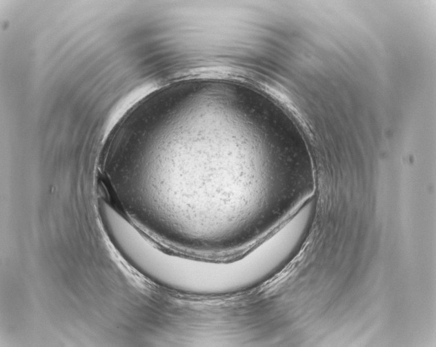 X0000087001426200705141755