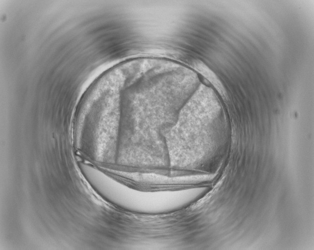 X0000087001436200705141755