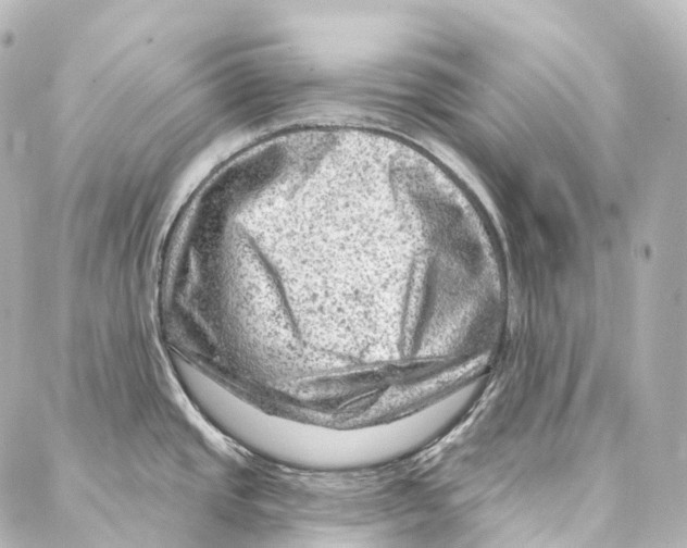 X0000087001437200705141755
