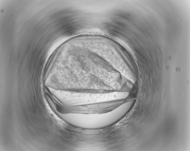 X0000087001440200705141755