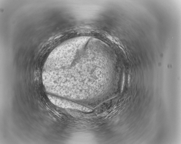 X0000087001445200705141754