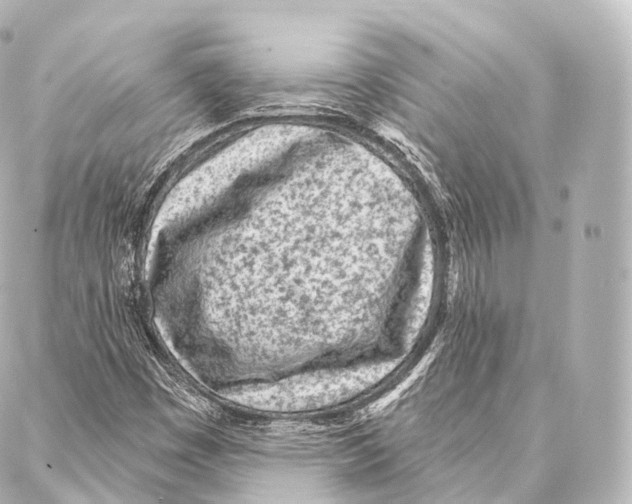 X0000087001449200705141754