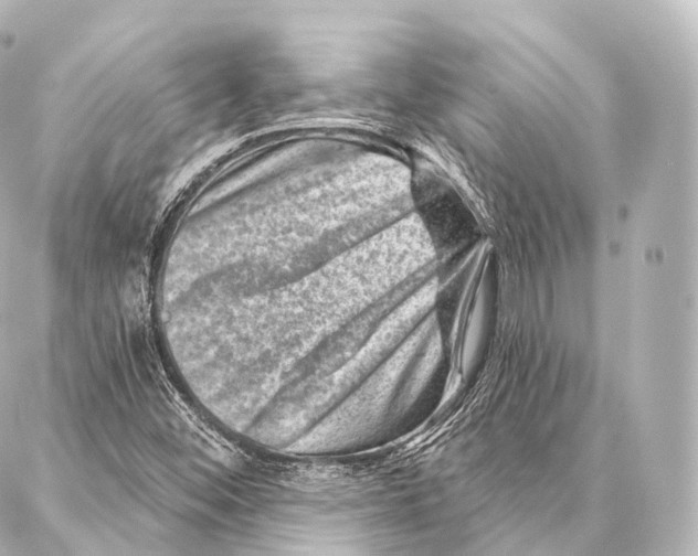 X0000087001452200705141754