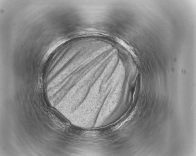 X0000087001453200705141754