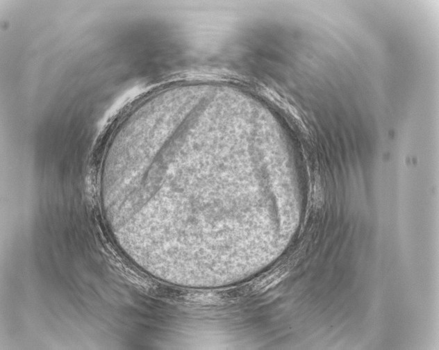 X0000087001454200705141754