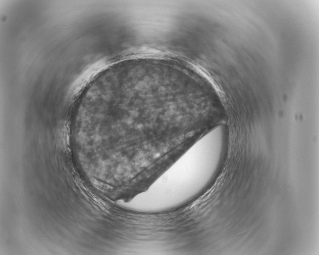 X0000087001455200705141754