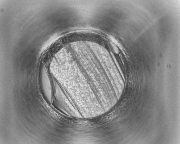 X0000087001456200705141754