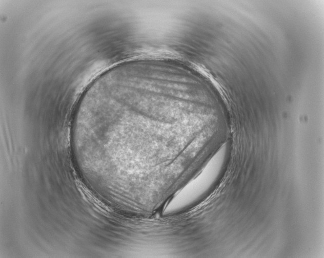 X0000087001459200705141754