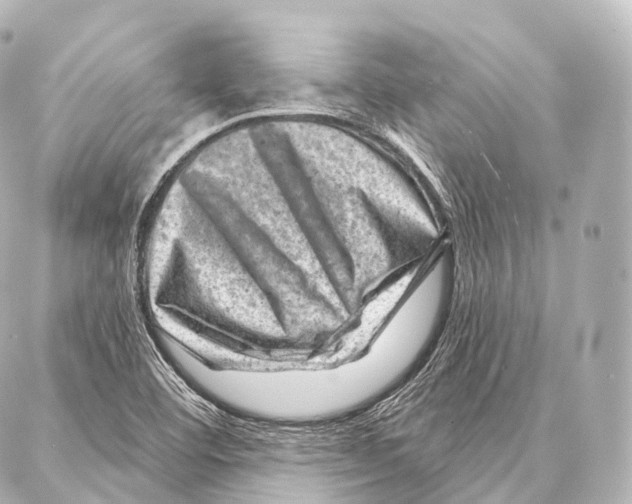 X0000087001460200705141754