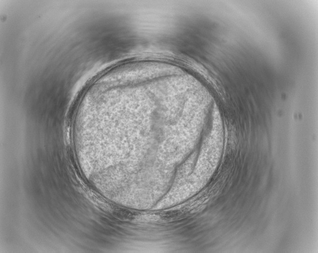 X0000087001462200705141754