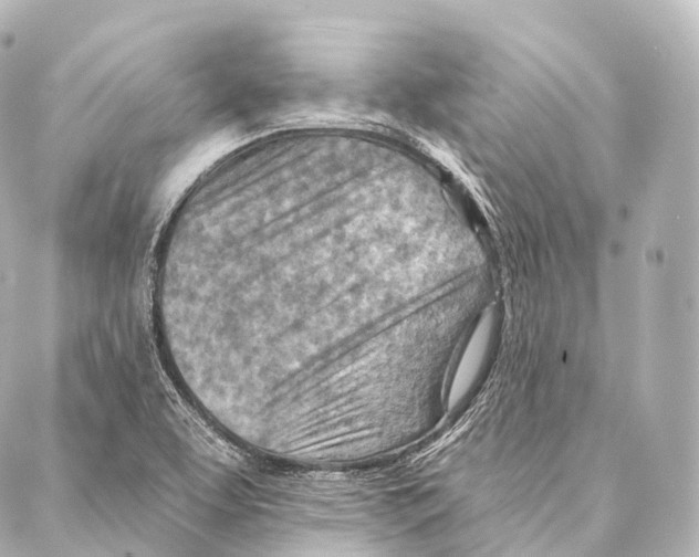 X0000087001463200705141754