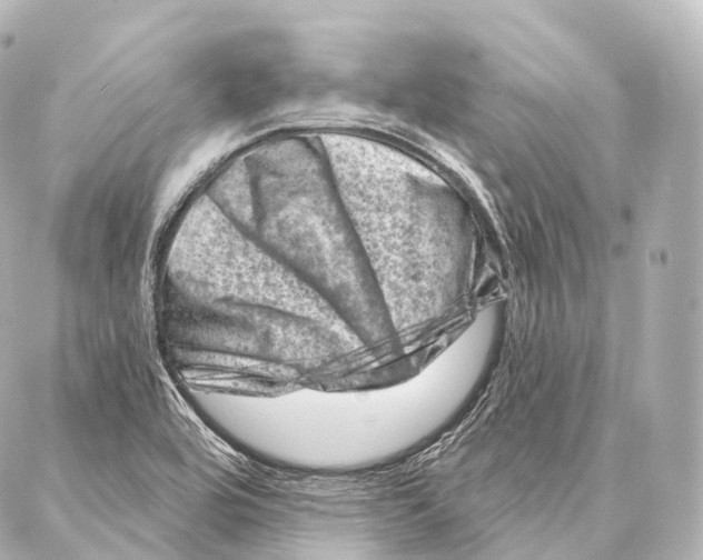 X0000087001464200705141754