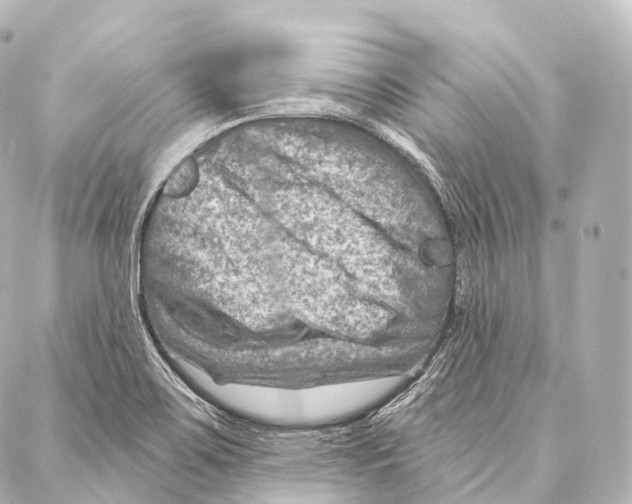 X0000087001467200705141754