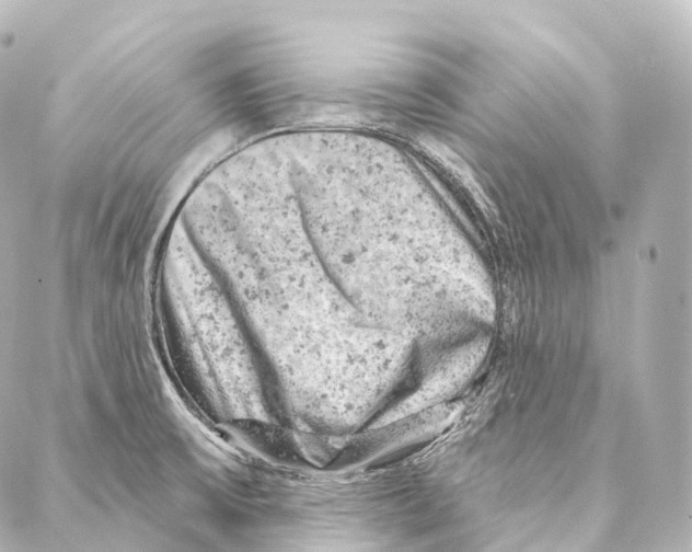 X0000087001475200705141753