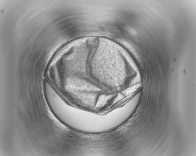 X0000087001476200705141753